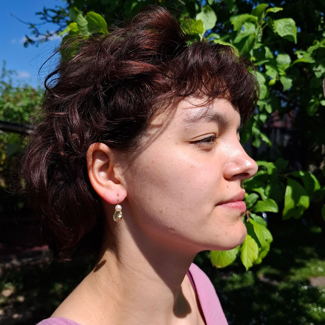 Abalone earrings