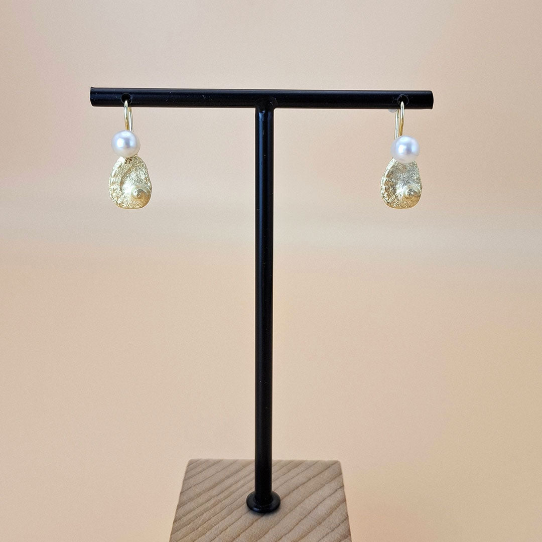 Abalone earrings