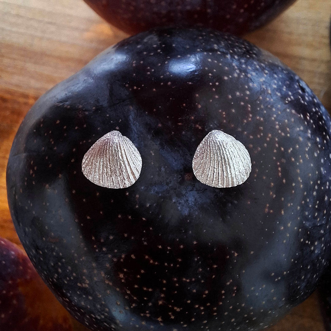 Seashell earring
