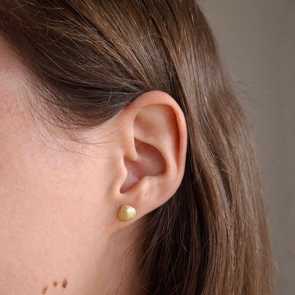 Seashell earring